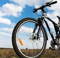 Cycle Dealer