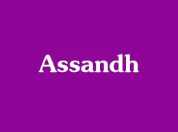 Assandh Yellow Pages