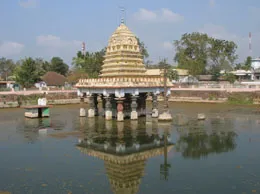 Tenali Yellow Pages