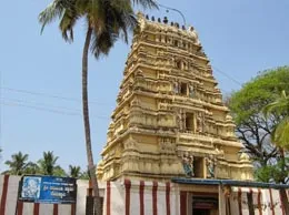 Maddur Yellow Pages